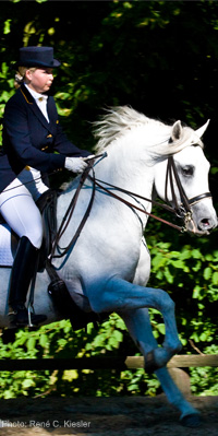 Turnier Reiten